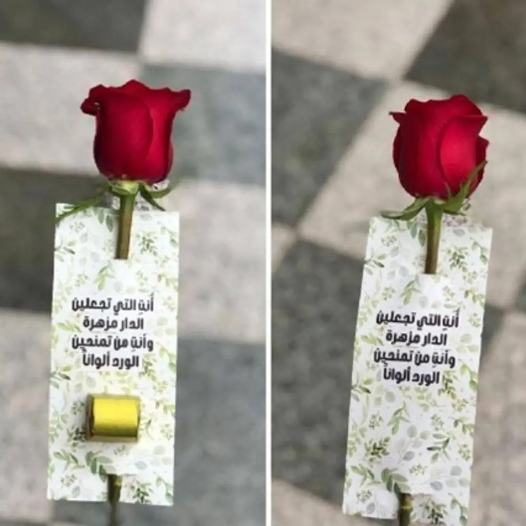 تاق "تجعلين الدار مزهرة"